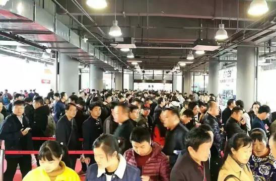 2024新澳原料免费资料