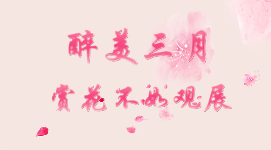 2024新澳原料免费资料