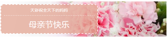 2024新澳原料免费资料