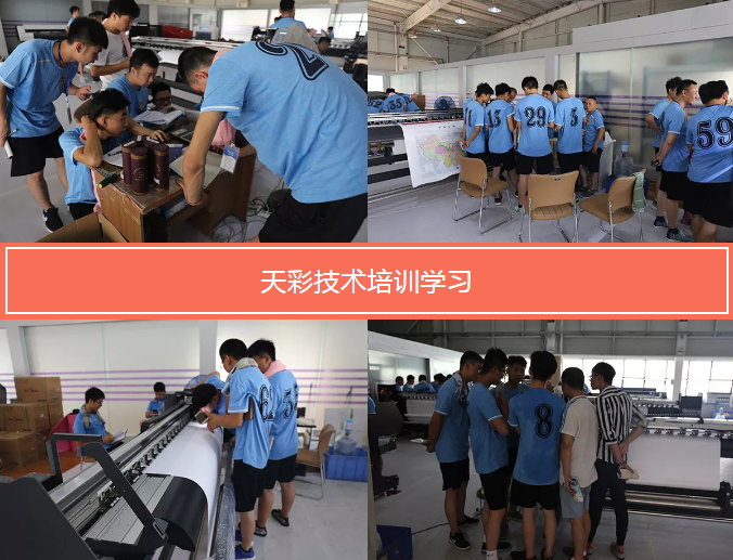 2024新澳原料免费资料