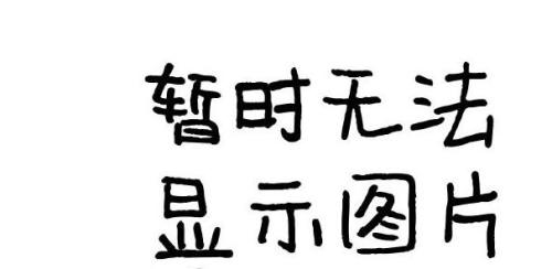 2024新澳原料免费资料