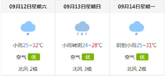 2024新澳原料免费资料