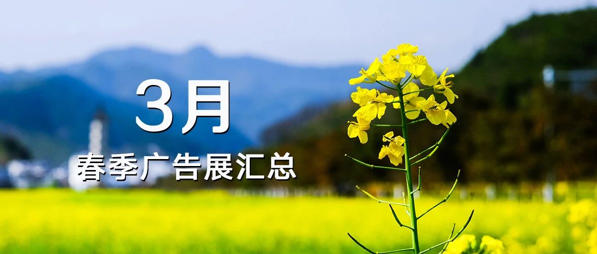 2024新澳原料免费资料