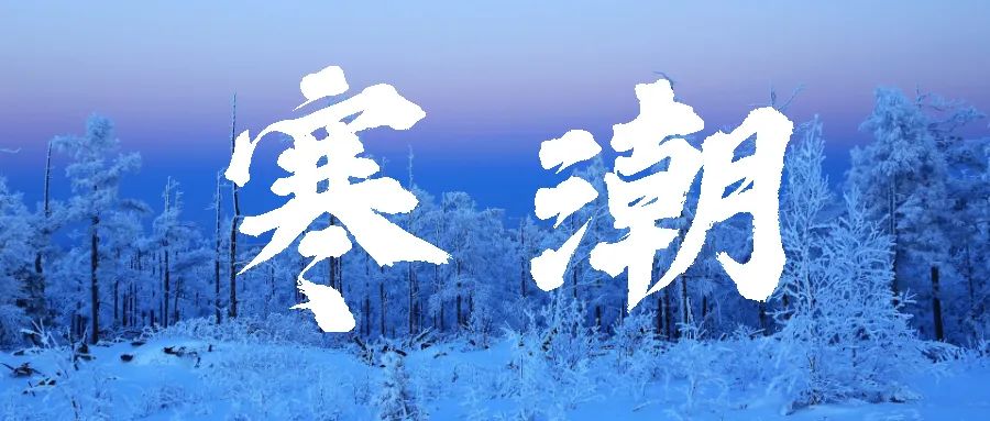 2024新澳原料免费资料
