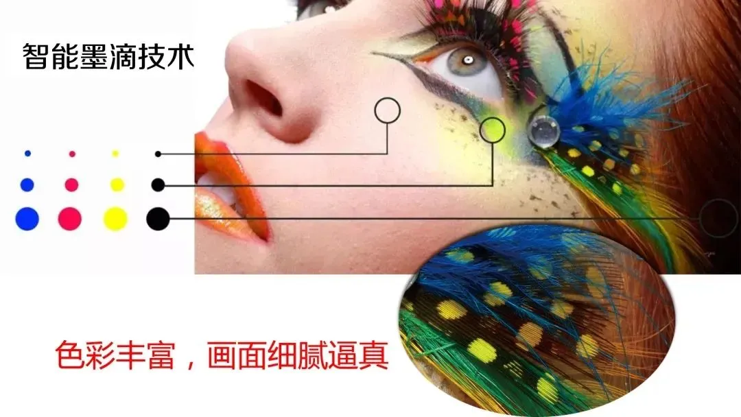 2024新澳原料免费资料