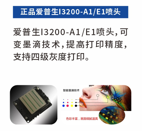 2024新澳原料免费资料